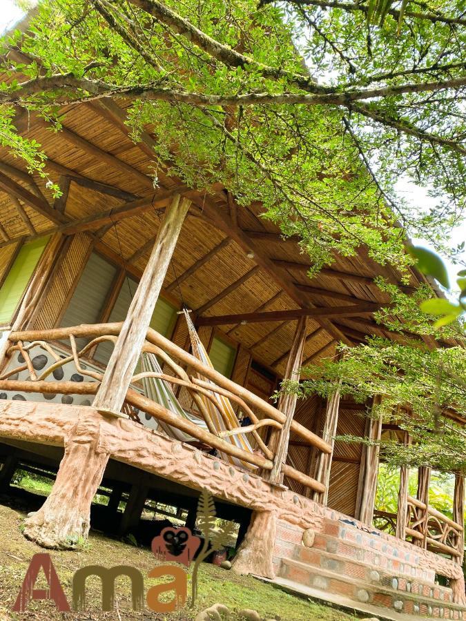 Ama Ecolodge Misahualli Ngoại thất bức ảnh